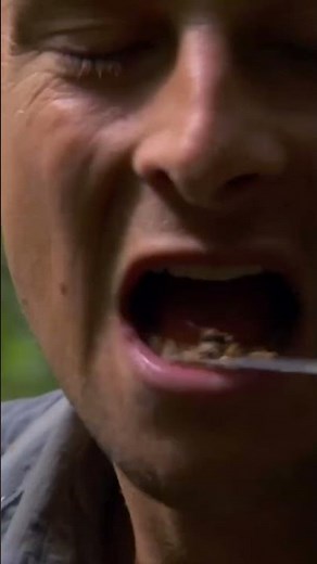 You won’t believe what Bear Grylls eats to survive in the wild!