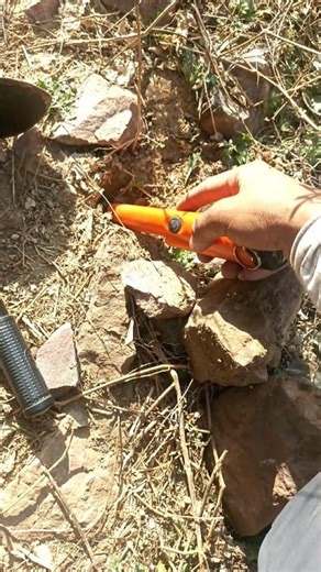 Using pinpointer metal detector found gold ring #treasurehunt #gold #viralshorts #metaldetector #yt