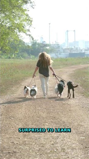 97% Hidden | Mysterious Places You Never Knew Existed