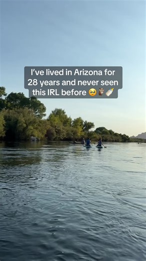 THE BABY GREAT HORNED OWL!! 🥹 finally spotted my first great horned owl since living in Arizona AND got so lucky to see a mama and her baby… this is on the Lower Salt River near Phoenix in Mesa! You can see wild horses, eagles, otters, and a ton of birds including these magnificent owls 🦉 Have you ever spotted a great horned owl before?! So cuteeeeee 💞 #arizona #explorearizona #owls #greathornedowl #phoenix #phoenixaz #wildlifespotting #saltriver #lowersaltriver #wildjoy | Wildjoy
