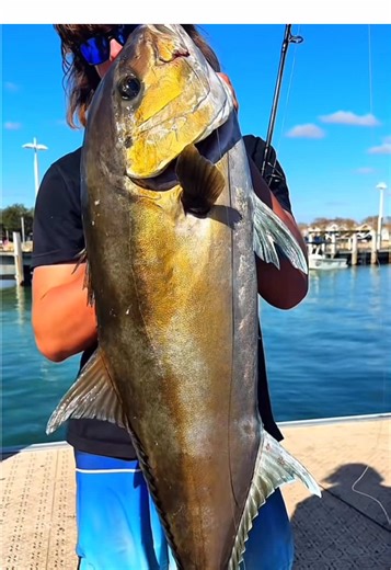 Perth WA Sambos Fishing Highlights