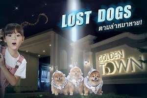 1.7M views · 1.1K shares | LOST DOGS ตามล่าหมาหาย! ภารกิจลับ...