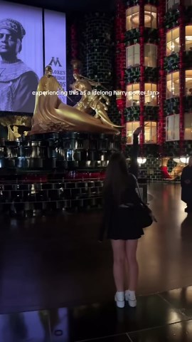 A Magical Journey Through Epic Universe's Latest Attraction