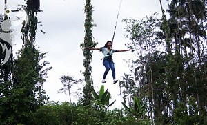 La Casa del Árbol en Puyo: Aventura y Naturaleza en la Amazonía Ecuatoriana