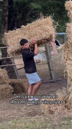 เฮาสิเฮ็ดเองเบิ่ดนั่นละ #สตอรี่ความรู้สึก #สตอรี่ความรู้สึก #เธรดอีสาน #บ่าวมุกดาหาร #fypシ゚