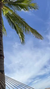 1.2K views · 142 reactions | Digital products are earning for you...