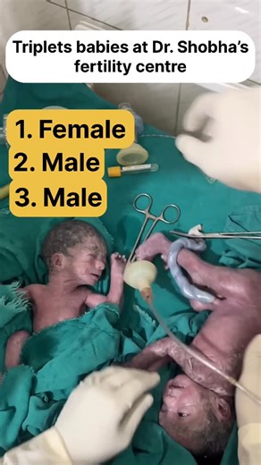 Dr. Shobha's Fertility Centre on Instagram: "One Girl & Two Boys: Successful Triplet Birth at Dr. Shobha’s Fertility Centre #drshobhagarg #cutebaby #baby #ivfsuccess"