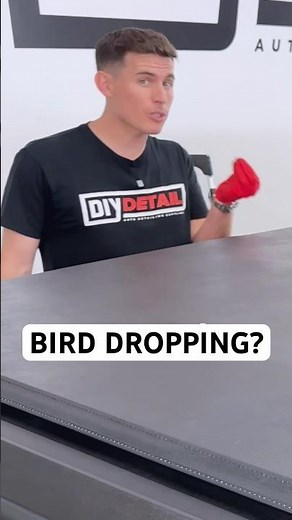 How To Quickly Clean Bird Droppings and Bug Guts Off Car Paint!
