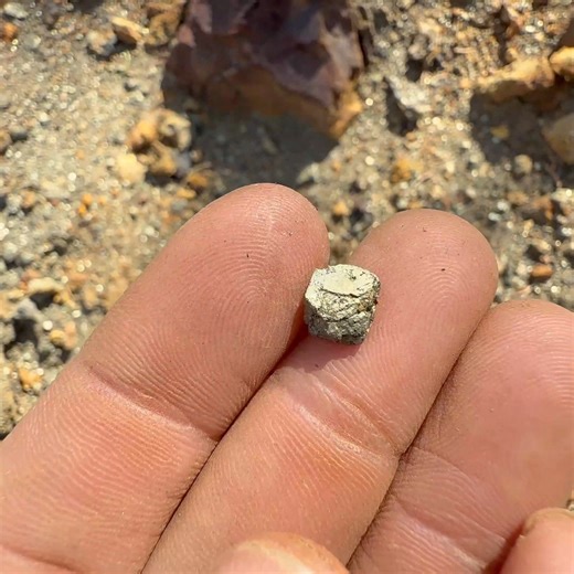 16K views · 437 reactions | What looks like GOLD, but isn't? PYRITE, aka Fools Gold. And we found LOTS of it. You just have to see it to believe it! ⛏️ | The Crystal Collector | Facebook