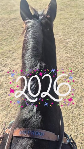 #barrelhorses #bethankful #Oklahoma #barrelracing