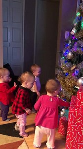 2.9M views · 26K reactions | Christmas tree is all set up at Grammy’s house and the girls love it! Chris Olesiuk-Martin | Webb Quadruplets Updates | Facebook