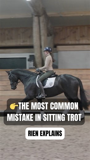 Whenever you prepare for canter work, the transition starts earlier than you think. When you move from rising trot to sitting trot, and back again, nothing in your horse should change. Same rhythm. Same balance. Same connection. That only works if your hand follows the mouth. Not hanging on the reins. Not holding back when you sit. Your contact stays steady, but always with a forward intention. If you block with your hand when you sit, you interrupt the energy from behind. If you follow, the hor