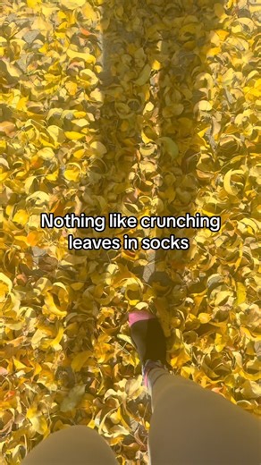 Crunchy asmr | Nicki Sanders