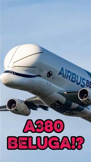 A380 Beluga would be INSANE #aviation #airbus