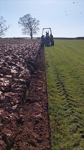 134K views · 1.9K reactions | Our David Brown 996 ploughing with a Ransomes TSF 200 three furrow plough last spring. | Dafydd Roberts | Facebook