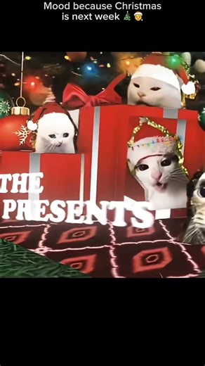 The queen is back 😼🐈‍⬛️