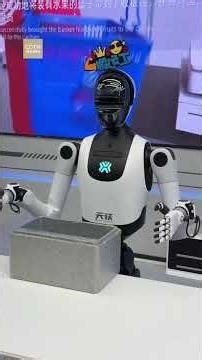 Robots running themselves: What does the future look like with embodied artificial intelligence?