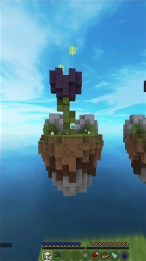 Can you telly bridge?