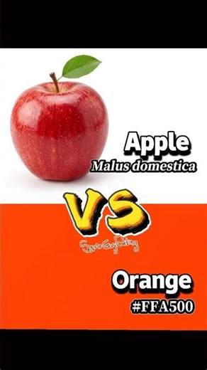 Apple vs Orange