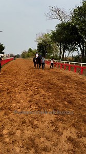12K views · 232 reactions | EL CHABELO con Alan Azamar en sus lomos #somoscarrilesdelazona #ranchoycriaderoelprogreso #purocuacoganador #veterinariapurasangre | Carriles de la zona | Facebook