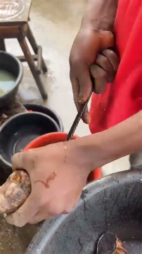 The process of removing snails from their shells #shorts