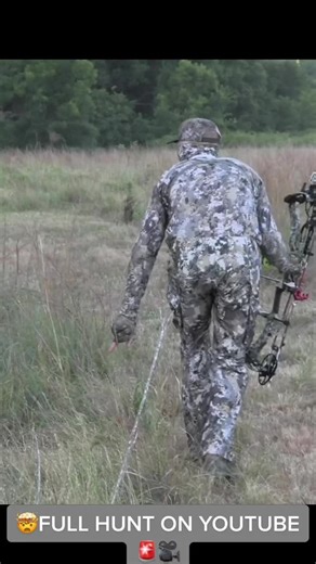 Go watch this INTENSE hog hunt on our Youtube page! 🐗 #MathewsV3 #Oklahomabuck #BBD #Hunting #Whitetail #Bigbuckdown #SpotHogg #Sitka #badlands #badlandsgear #whitetailbuck #hoghunting #hogs #archery #bowhunting #bow #bowhunt #Bowhuntingbucks #giantbuck #Mathews #danner #monsterbuck #oklahomahunting #texashunting #deer #YouTube #video #newvideo #youtubeviews #subscribe #youtubelikes #entertainment #fyp