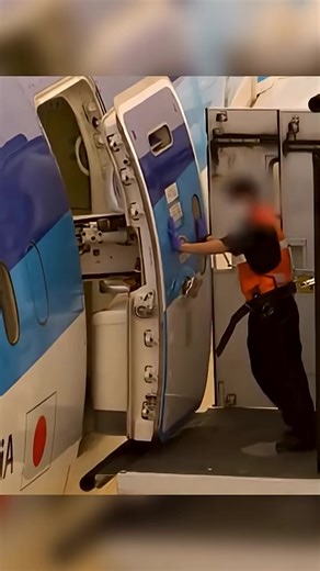 Videos de Harol Fernando Triana Cordoba (@harol.fernando.tr) con “sonido original - Harol Fernando Triana Cordoba”