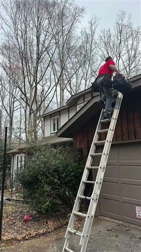 Wood Rot - once it starts? It spreads. Fast.