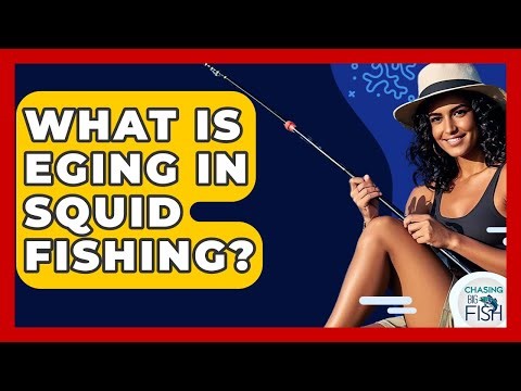 What Is Eging In Squid Fishing? - Chasing Big Fish