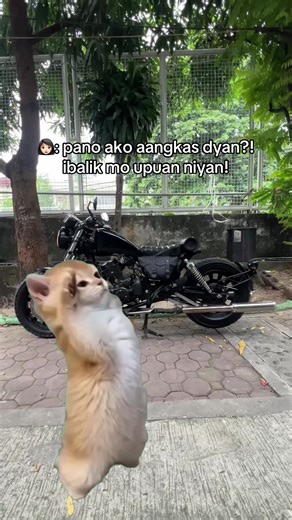 Custom Bobber Motorcycle Build