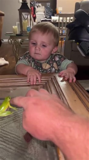 Baby was attacked by an animal #funny #funnyvideos #FentySuperBrandDay #LanguageLearning #fails