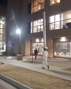 Dom Dima dom, dueño del Domodin, del Dima don, heredero de la fortuna del domodin de Dimmsdale | Jaimeme