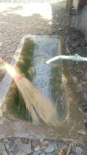 time to clean the duck pond👍 #duck #cleaning #animals #nice #fyp