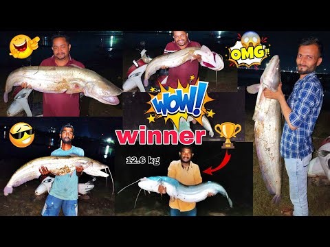 ଟଙ୍କପାନି ବ୍ରିଜ୍ ଉପରୁ ଧରା ହେଲା ବଡ଼ ମାଛ || Biggest Monster Fish Catching video