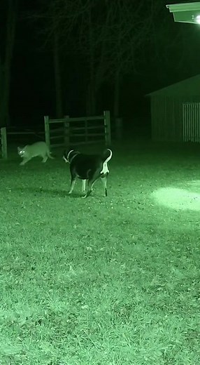 3.2M views · 5K reactions | In a scene that could have come straight...