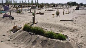 Defining conservatism in the Trump era with Sen. Ted Cruz: podcast and transcript