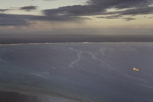 Tonga Language Week Archive