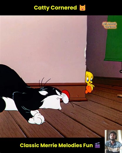 Catty Cornered 🐱🐤 Sylvester & Tweety’s Hilarious Crime Caper! Merrie Melodies | All About Cartoon
