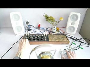 Meng Qi Wing Pinger & Wingie