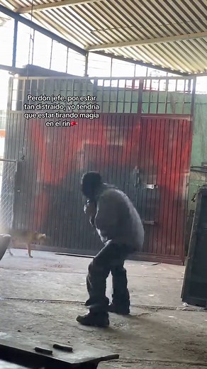 Entrenamiento de Boxeo: Movimientos de Pierna
