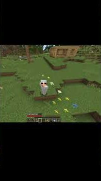 Chocapic13 Shader Test iqoo neo 10r Minecraft