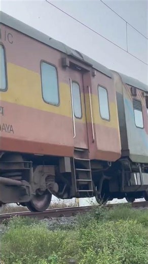राजगीर New Delhi श्रमजीवी Express #shorts #train #short #shortvideo
