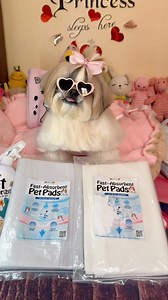 1M views · 9.6K reactions | If Hindi pa Potty Trained ang fur babies nyo,Petsup fast-absorbent Pad is the best solution, very convenient & easy to use. #princessthekikaydog #fbreelsvideo #doglover #foryouシ | FurMom Rose | Facebook