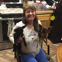 Obituary for Cindy  Schumacher at Black Hills Funeral Home & Cremation Services