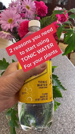 Benefits of Tonic Water: Uses, Advantages, and More