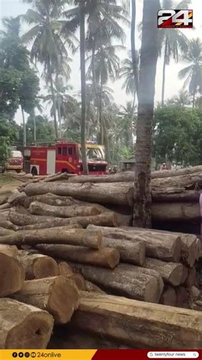 പാലക്കാട് പരുതിക്കാട് മരം മില്ലിന് തീപിടിച്ചു; മില്ല് 60 ശതമാനം കത്തി നശിച്ചു | Palakkad Fire