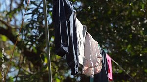 Clothes hanging on line in the forest for drying after hiking at Doi Pha Hom Pok National Park camp ground, Thailand.