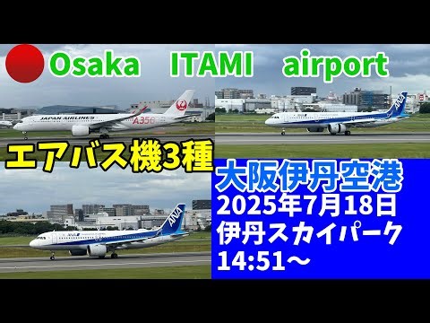 【#伊丹空港】エアバス機が3種類も！午後の伊丹空港 A320 A321 A350とエアバスデー Osaka ITAMI airport spotting ITAMI sky park