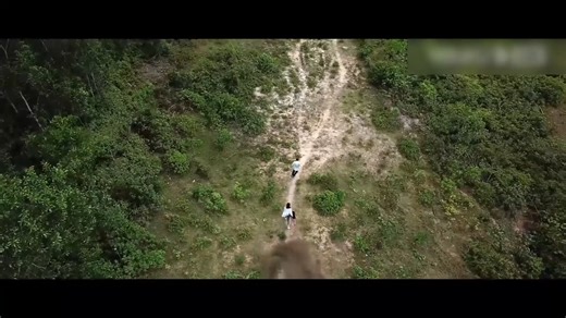 The man was swallowed by a giant shark while protecting the little girl! 男人为了保护小女孩自己被巨鲨吞噬！ #陆行鲨 #landshark #优酷电影 #youkumovie | Youku Movie