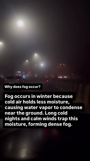 What is the reason of fog? | #trending #biology #facts